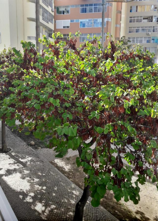 Casinha Da Ria Apartment Faro Ngoại thất bức ảnh
